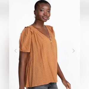 Johnny Was Archer Swiss Dot V-Neck Top